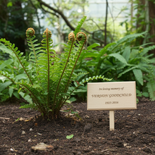 Fern plant with a memorial sign in a garden setting