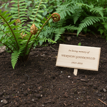 Small wooden plaque in a garden with ferns