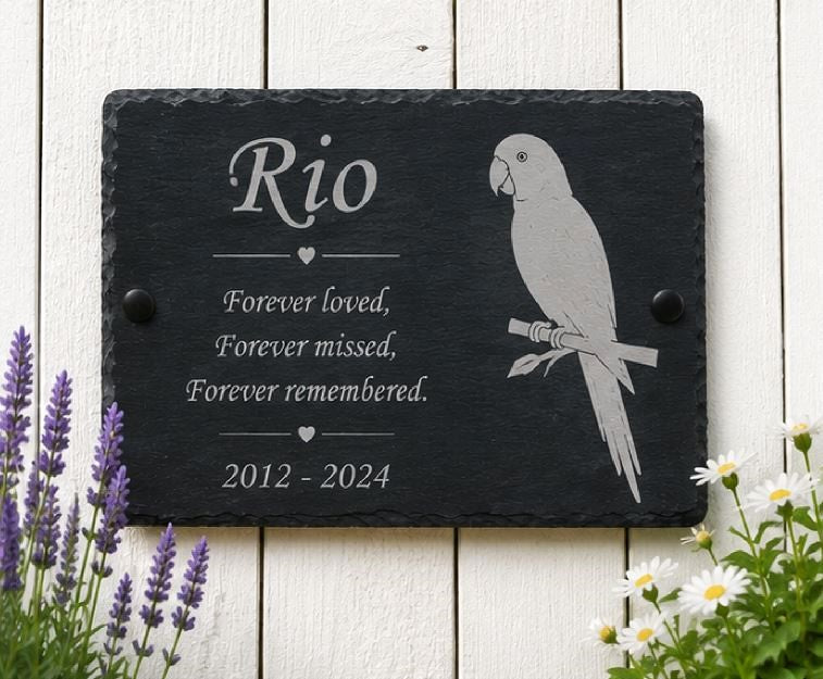 Slate plaque with engraved parrot design and text on a white wooden background