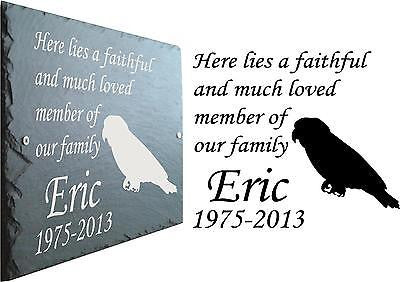 Pet Memorial Slate Plaque Personalised for Bird / Parrot / McCaw 