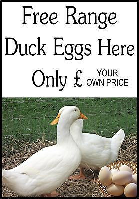 Fresh Free Range Duck Eggs for Sale Sign - Personalise your own Price Farm Home