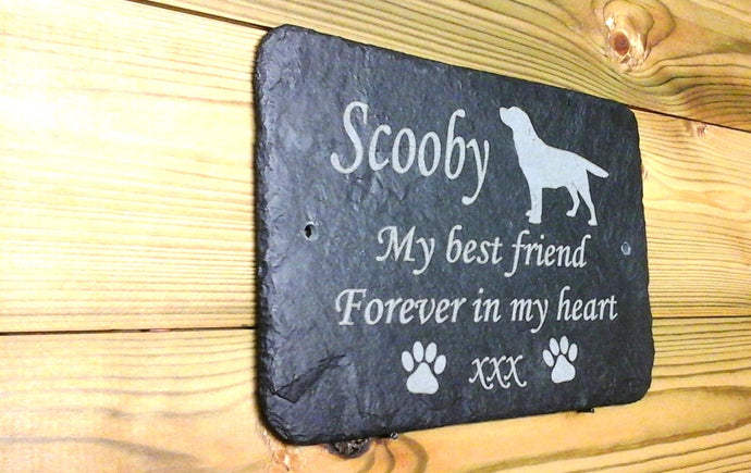 Unique Rainbow Bridge Pet loss Personalized Dog Memorial Plaque - My Unique Rainbow Bridge Pet loss Personalized Dog Memorial Plaque - My