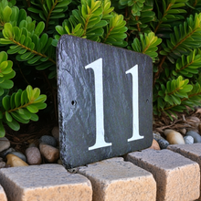 Slate house number '11' on a stone path with green foliage in the background