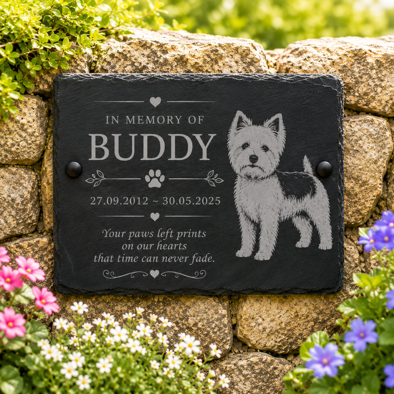 Personalized black slate memorial plaque mounted on a stone wall, engraved with the text 'IN MEMORY OF BUDDY' and a white dog illustration, surrounded by greenery and flowers.
