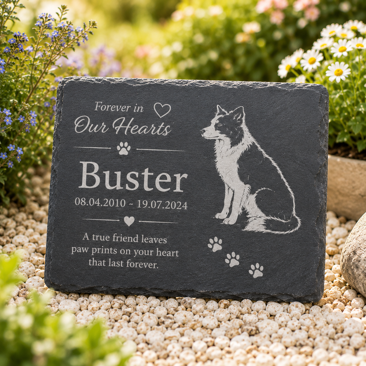 Personalized dark gray slate pet memorial garden stone with engraved text reading 'Forever in Our Hearts Buster' and a dog illustration, placed on white pebbles in a garden with blurred greenery and flowers.