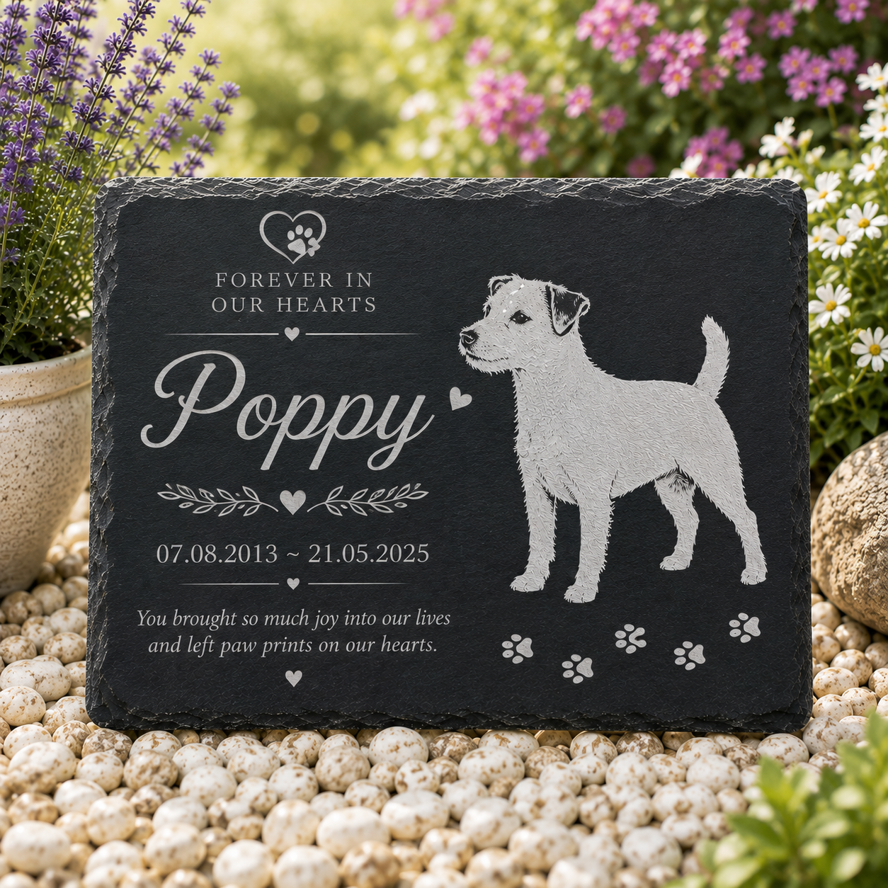 Personalized pet memorial garden stone featuring a engraved silhouette of a Jack Russell Terrier with paw prints and the text 'Forever in our hearts Poppy [dates]' displayed on white pebbles with lavender and flowers in the background.