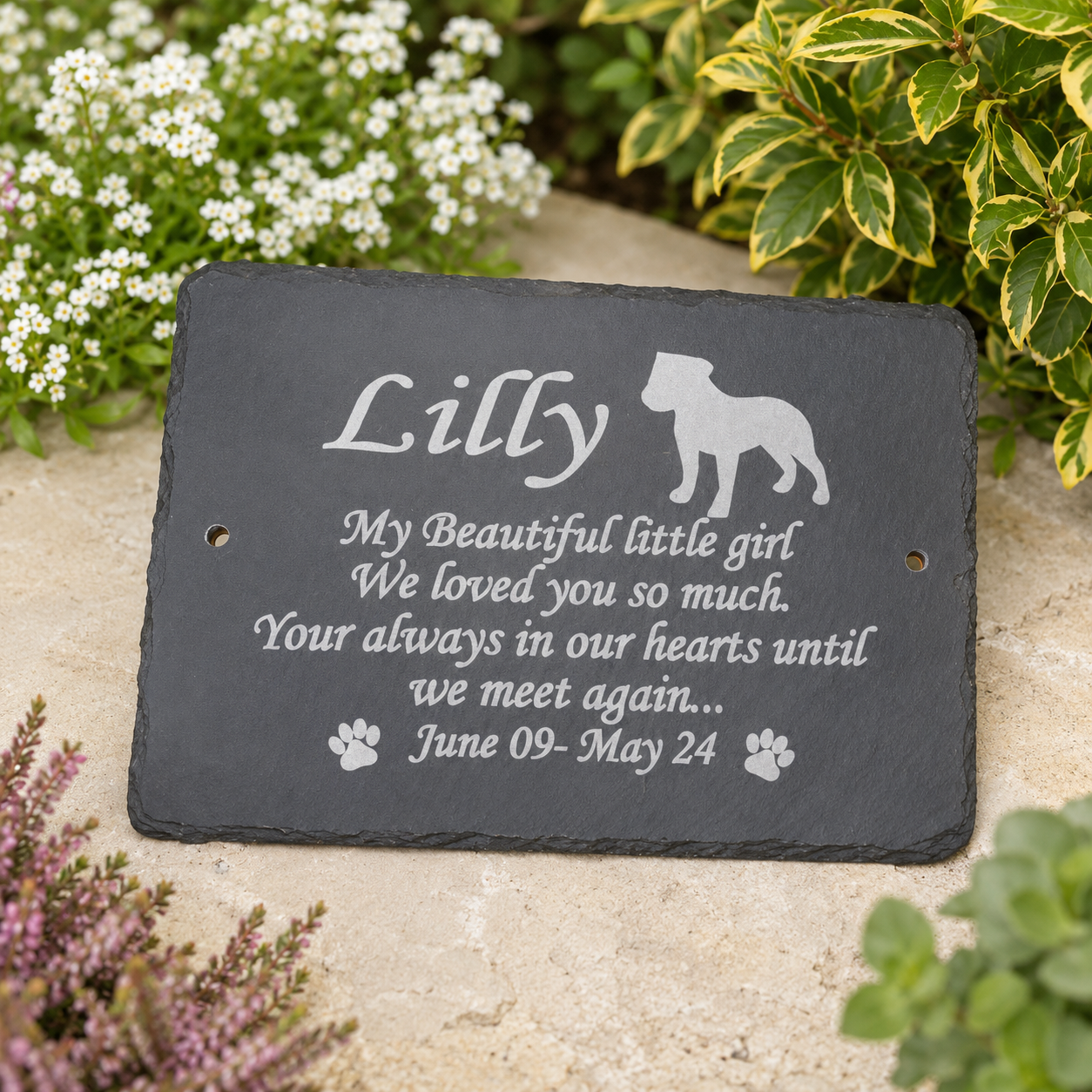 Personalized black slate pet memorial plaque engraved with the name 'Lilly', a dog silhouette, and remembrance text, displayed outdoors on a stone surface with plants around it.