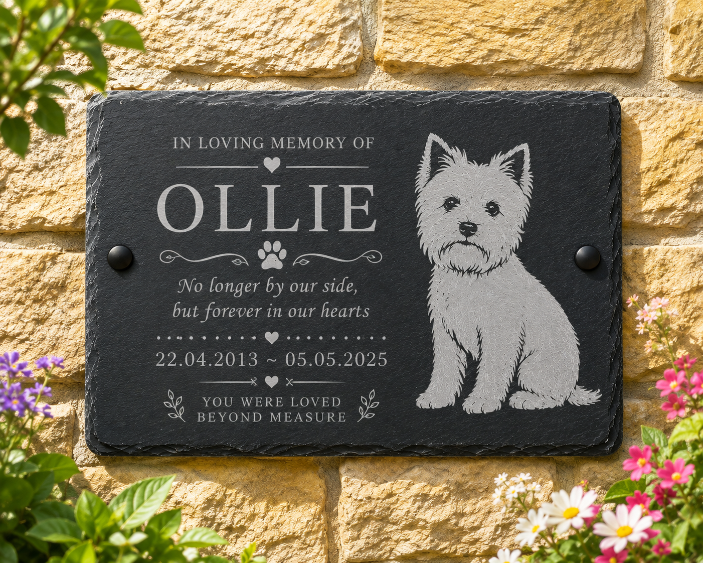 Personalized black slate pet memorial plaque with engraved text reading 'In Loving Memory of Ollie' and a white West Highland terrier illustration, mounted on a beige stone wall with flowers around it.