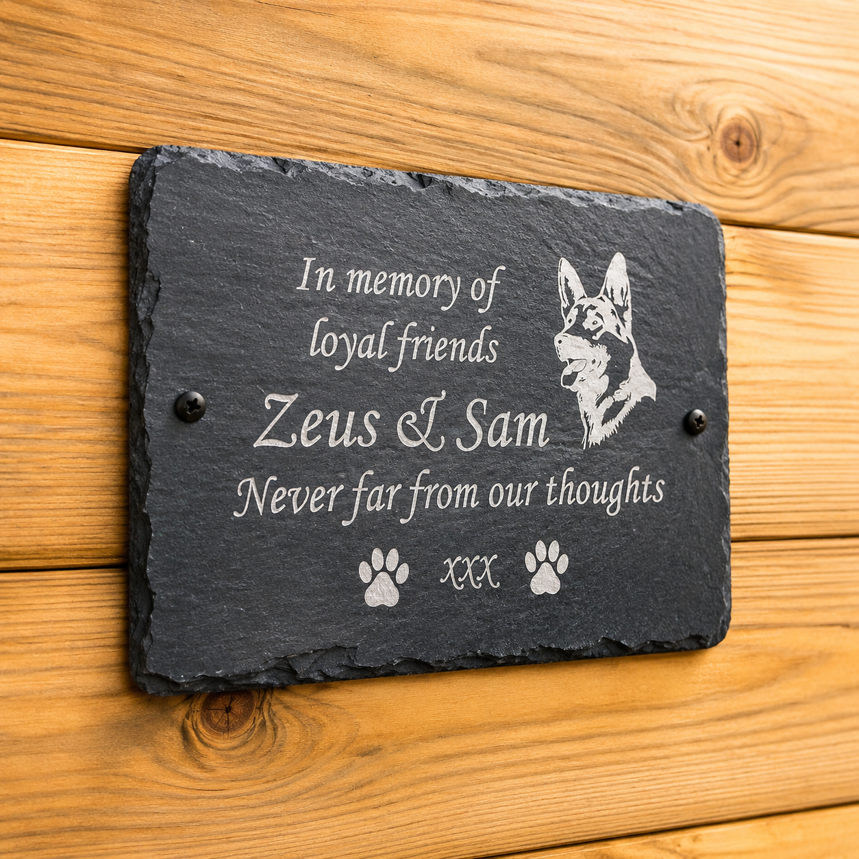 A rectangular black slate memorial plaque mounted on a wooden wall, engraved with the text 'In memory of loyal friends Zeus & Sam Never far from our thoughts' along with a dog portrait, paw prints, and 'xxx'.