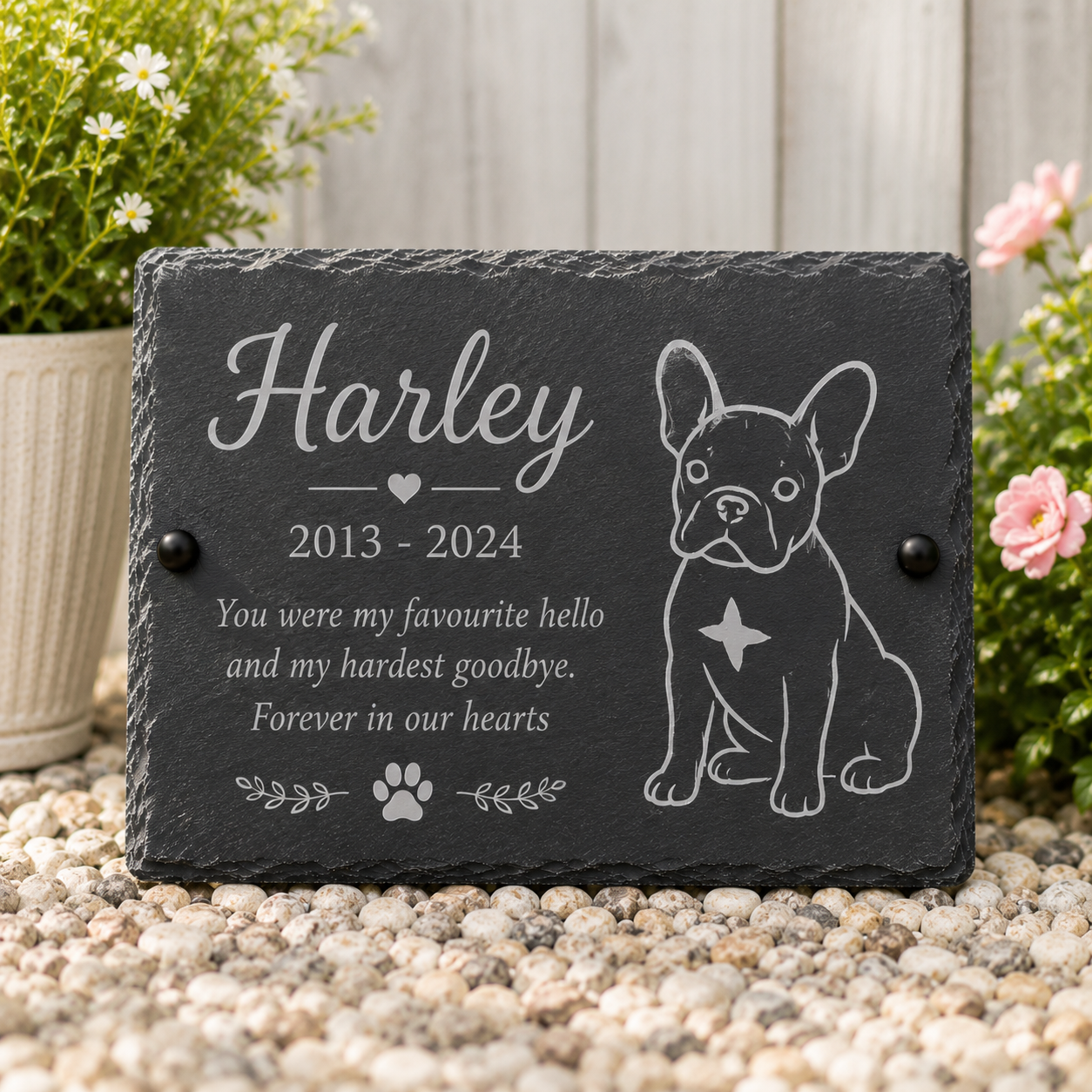 Personalized black slate memorial plaque with an engraved French bulldog illustration and the name Harley, displayed on a bed of small white pebbles with potted flowers in the background.