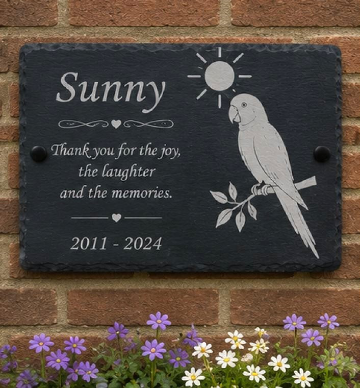 Slate plaque with parrot illustration and text on a brick wall with flowers at the base.