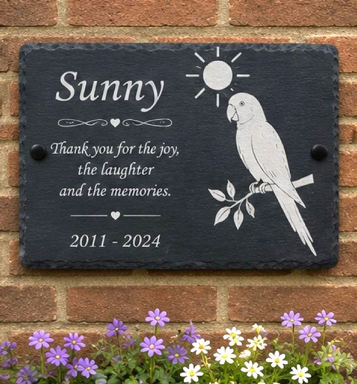 Personalized black slate memorial wall plaque mounted on a red brick wall, featuring the name 'Sunny', a white parrot perched on a branch under a sun, and the text 'Thank you for the joy, the laughter and the memories. 2011 - 2024'.