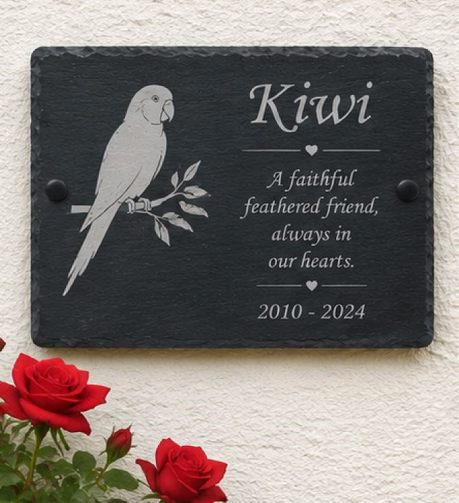 Slate plaque with engraved parrot illustration and text, surrounded by red roses on a light background