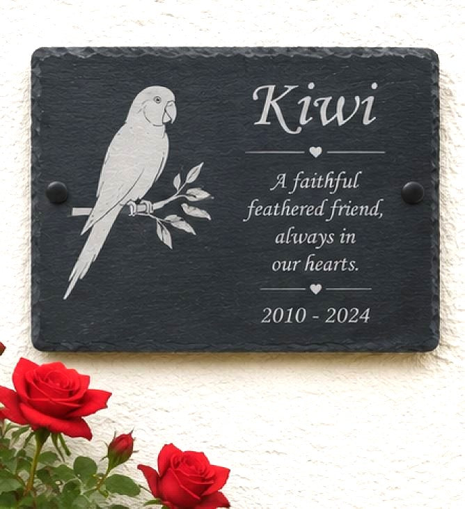 Personalized black slate memorial plaque mounted on a textured cream wall, featuring an engraved white parrot perched on a branch and the name 'Kiwi' with remembrance text and dates. Red roses appear in the lower left corner as decorative props.