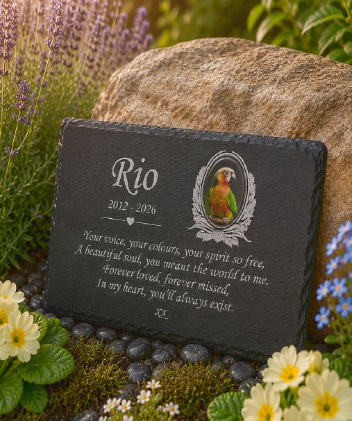 Personalised pet photo memorial plaque with colour pet photograph, laser etched name, dates and remembrance wording on natural slate