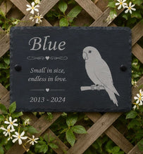 Slate plaque with engraved parrot illustration and text, set against a wooden lattice and greenery background.