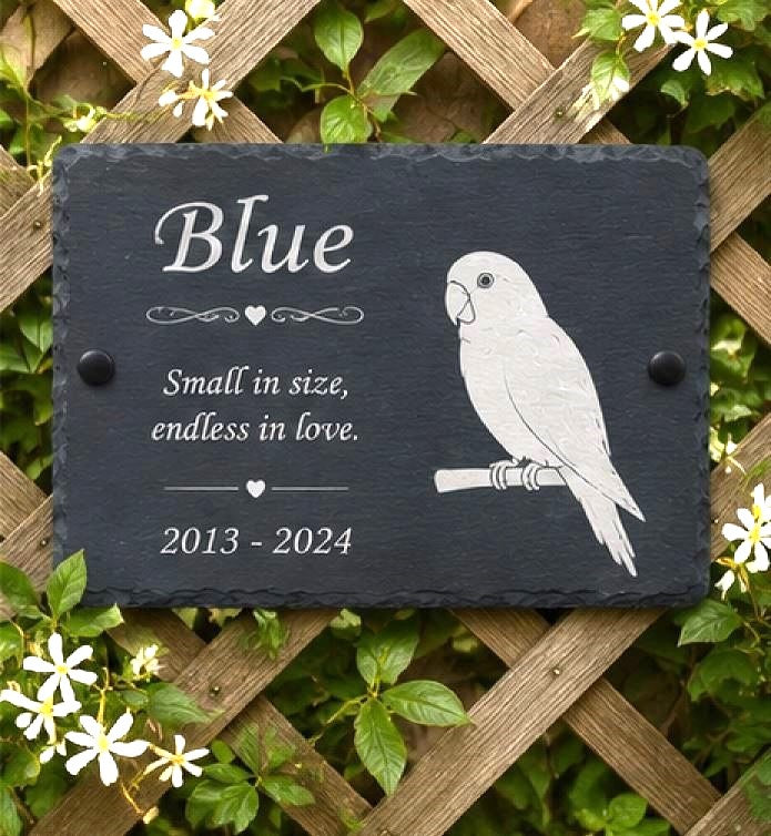 Personalized slate pet memorial plaque with a white bird illustration and engraved text reading 'Blue' and 'Small in size, endless in love. 2013 - 2024', displayed outdoors on a wooden trellis with green foliage and small white flowers.