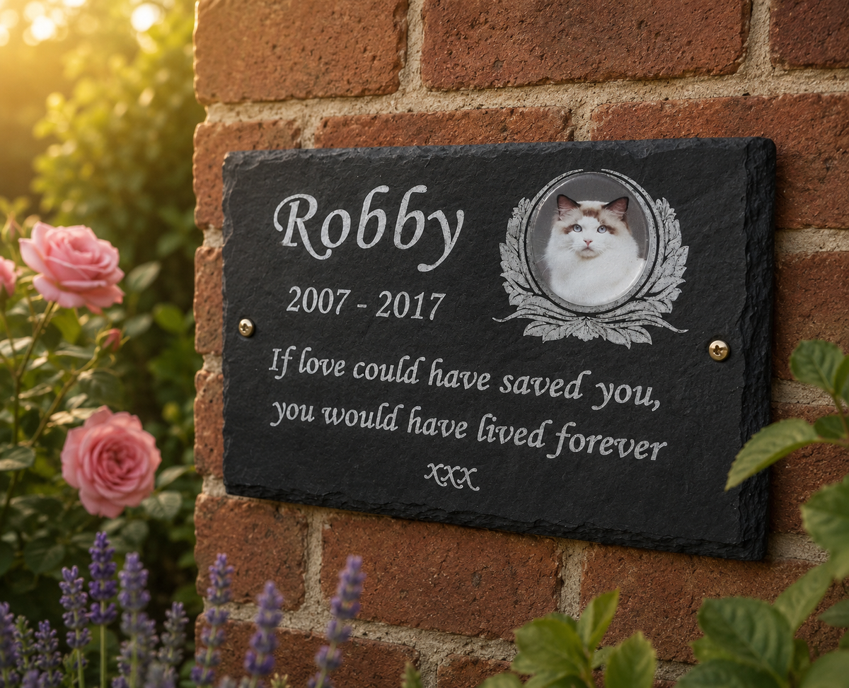 Personalized black slate pet memorial plaque mounted on a red brick wall outdoors, engraved with the name Robby, dates 2007-2017, a portrait of the cat, and a remembrance quote. Pink flowers and green leaves surround the plaque.