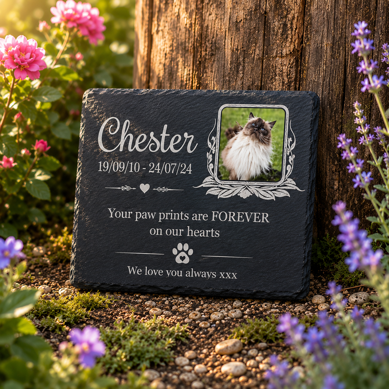 Personalized black slate pet memorial garden stone with engraved white text, a photo of a long-haired cat, and paw print design, placed outdoors against a tree trunk with flowers around it.