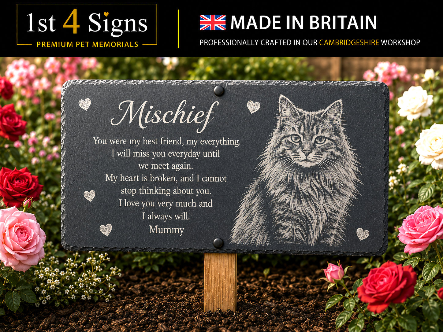 Personalized slate pet memorial sign with engraved cat portrait and memorial message on a wooden stake, shown outdoors among red and pink roses. Header banner reads '1st 4 Signs Premium Pet Memorials' and 'MADE IN BRITAIN'.