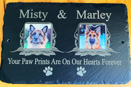 pet dog photo memorial 2 names 
