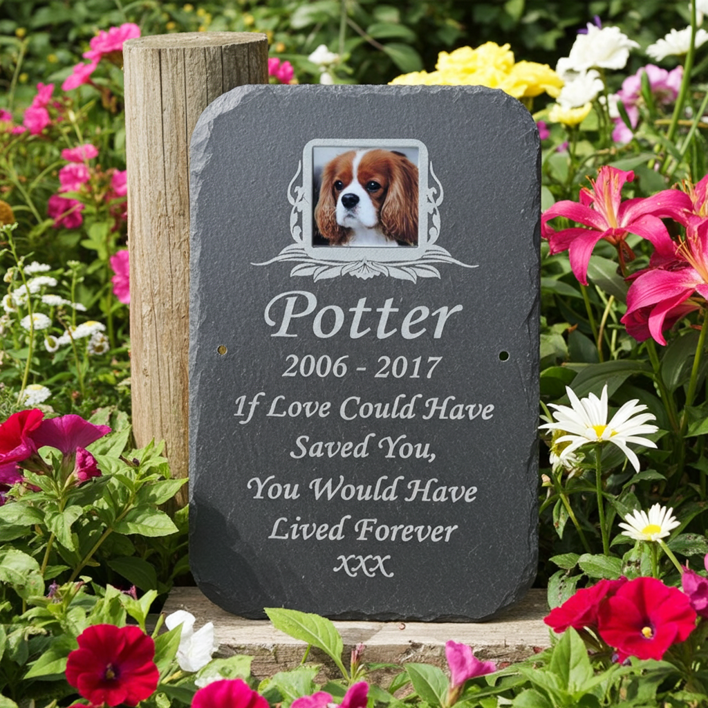 Personalized pet memorial garden stone engraved with a photo of a Cavalier King Charles Spaniel dog and the text 'Potter 2006-2017 If Love Could Have Saved You, You Would Have Lived Forever XXX', displayed outdoors in a garden with colorful flowers.