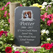 Memorial slate for a dog named Potter with a photo of a Cavalier King Charles Spaniel, surrounded by flowers.