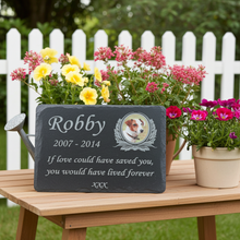 Memorial plaque for a pet named Robby with flowers on a wooden bench.