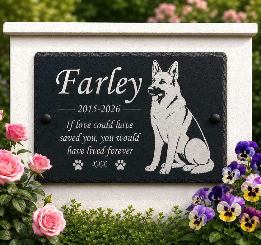 Personalized black slate pet memorial plaque engraved with the name 'Farley', dates '2015-2026', a white dog illustration, and a remembrance quote, mounted on a white stone wall with pink and purple flowers in a garden setting.