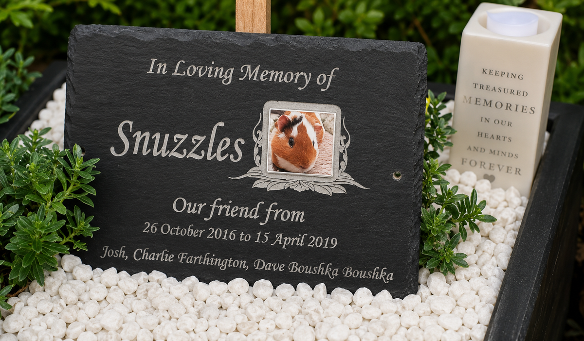 A personalized black slate pet memorial plaque engraved with 'In Loving Memory of Snuzzles' and a small photo of a cat, displayed outdoors in white pebbles next to a white ceramic keepsake container.
