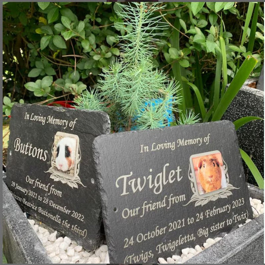 Memorial for Rabbit ~ Bunny ~ Guinea Pig or any Pet Photo Memorial Slate Plaque - Outdoor photo memorial for Cats, Dogs, Pets. Approx inches 10" x 7" 25cm x 18cm