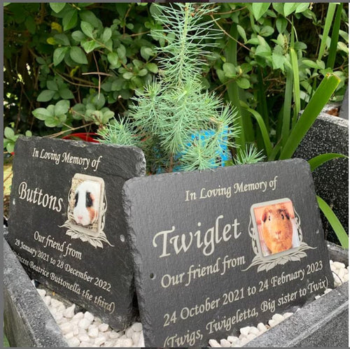 Rabbit ~ Bunny ~ Guinea Pig or any Pet Photo Memorial Slate Plaque - Outdoor photo memorial for Cats, Dogs, Pets.