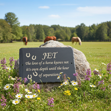memorial plaque for horse on stone in field