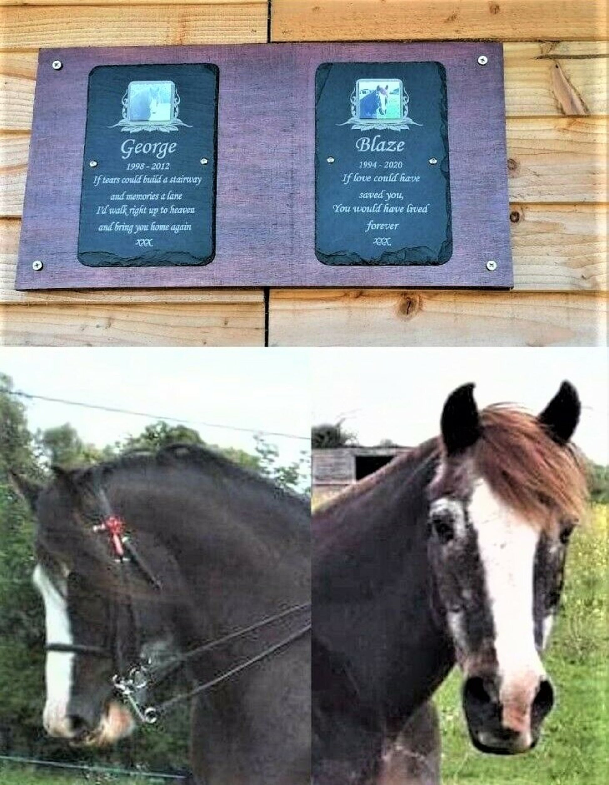 Pet Photo Grave Marker with Oak Stake Option