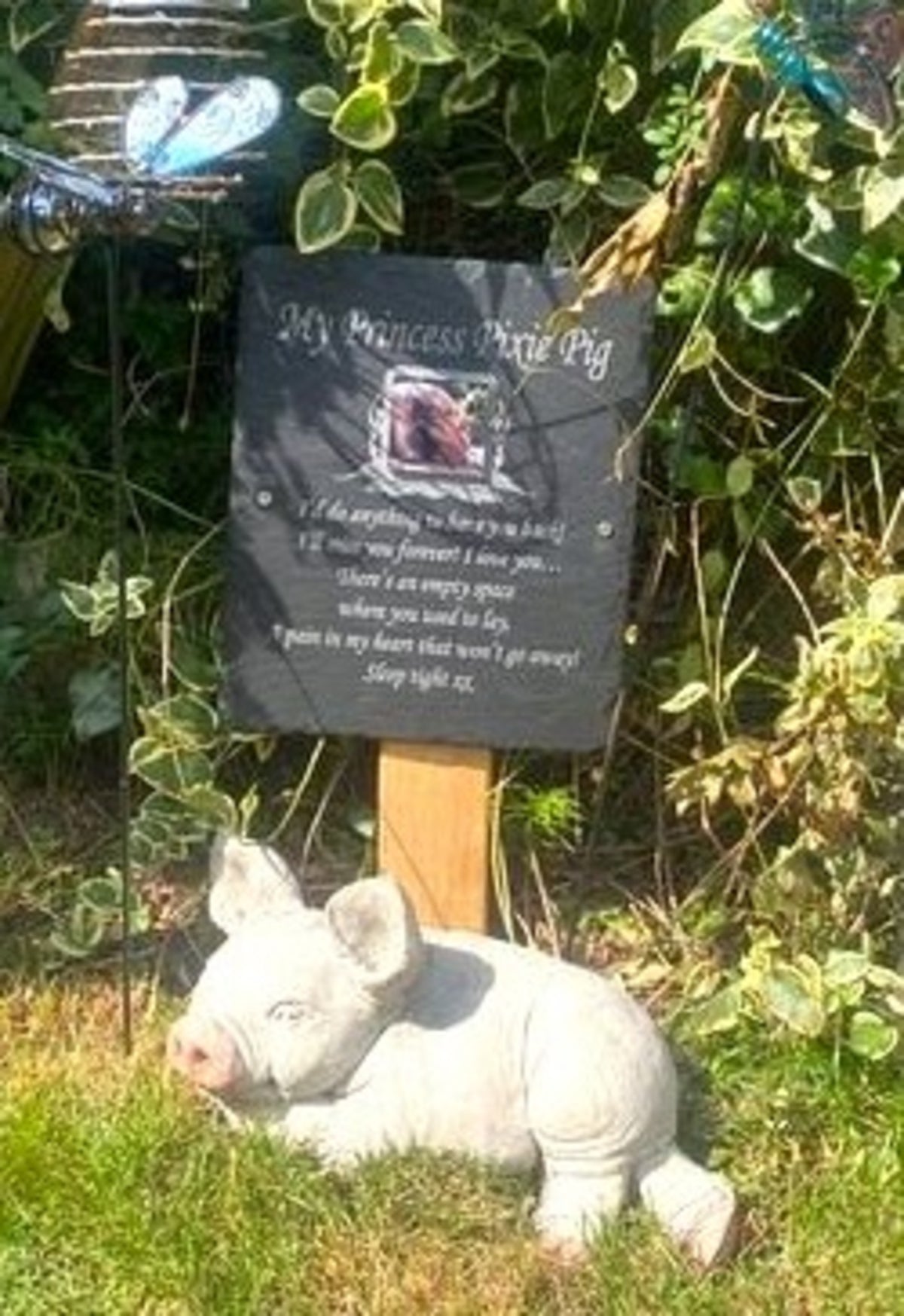 A small pig statue lying on grass beside a black memorial-style garden plaque on a wooden stake, with green foliage in the background.