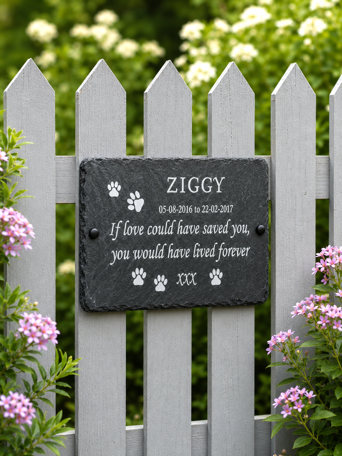 Memorial plaque for a pet named Ziggy on a white picket fence with flowers in the background