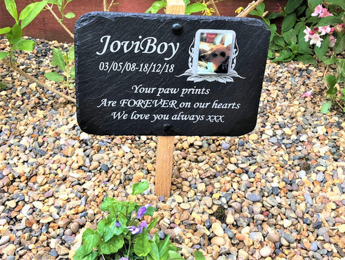 Dog memorial plaque