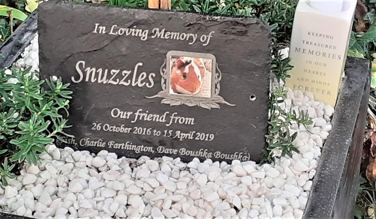 Grave marker Guinea Pig with photo