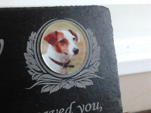 Jack Russell dog grave maker photo plaque
