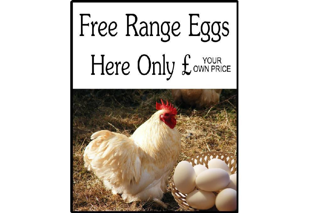 Free Range Chicken Eggs For Sale Sign - Add your own Price, Eggs Sold Here Signs