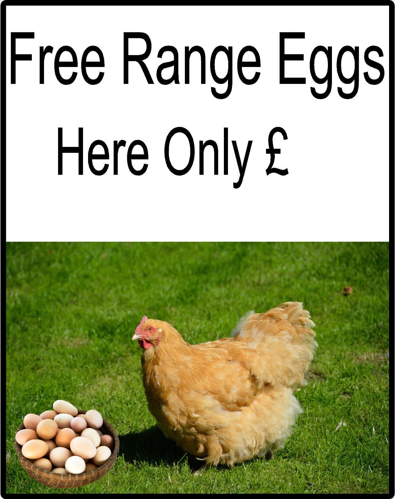 Free Range Chicken Eggs For Sale Sign - Add your own Price, Eggs Sold Here Signs
