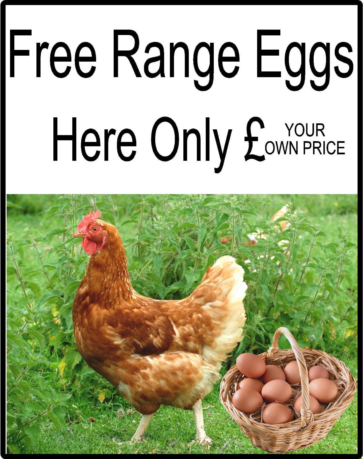 Fresh Free Range Eggs For Sale Sign - Add your own Price, Eggs Sold Here Signs
