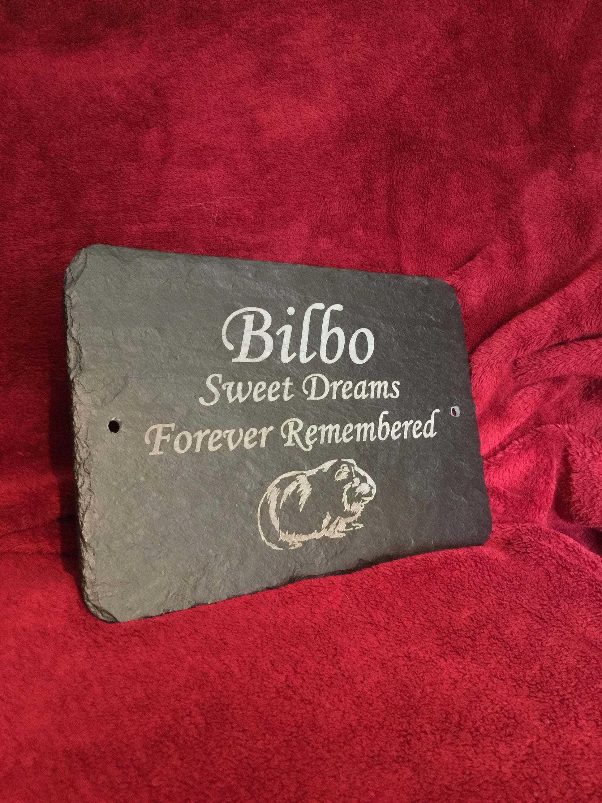 Memorial plaque for Guinea Pig