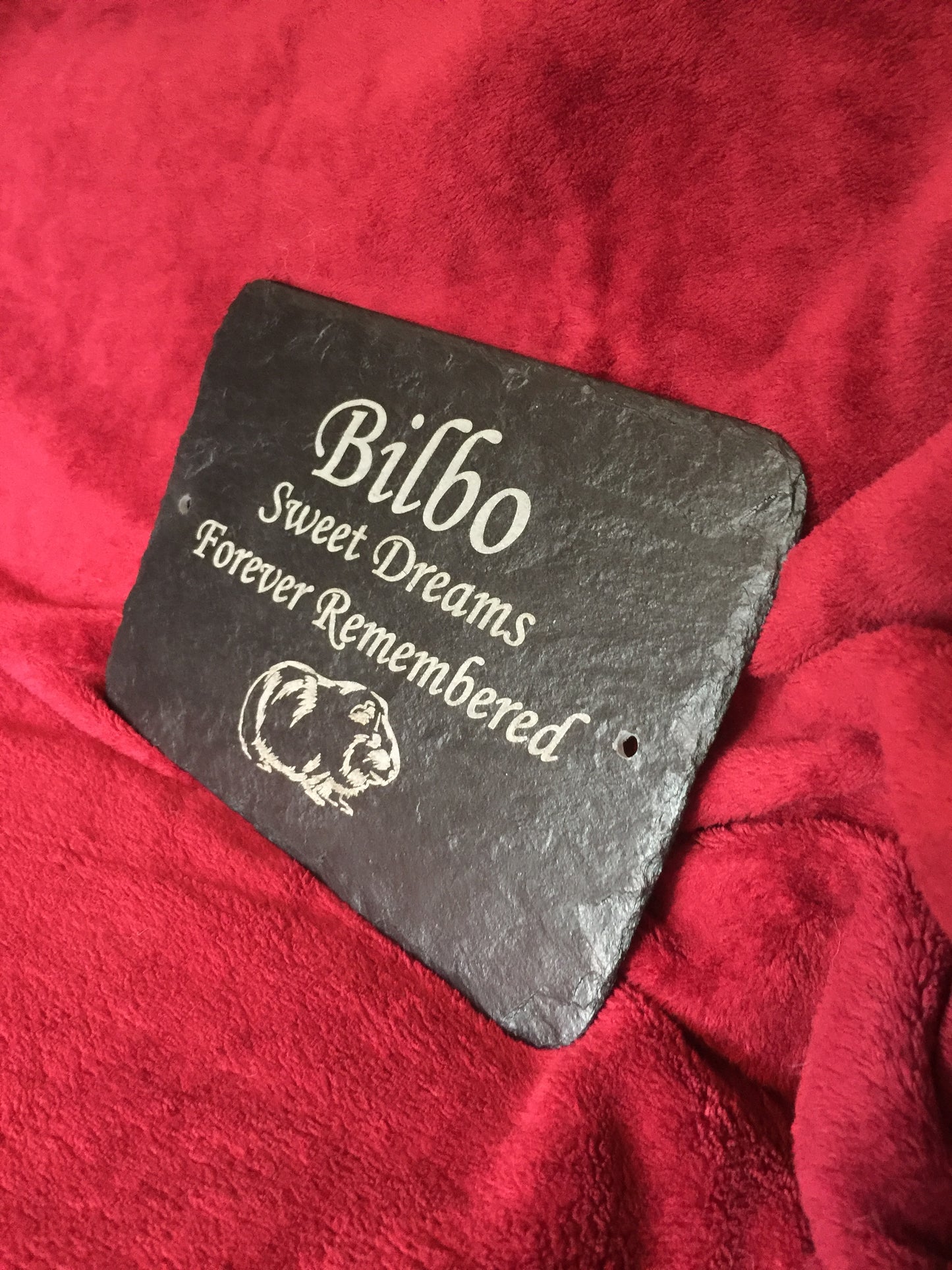 Memorial plaque for Guinea Pig