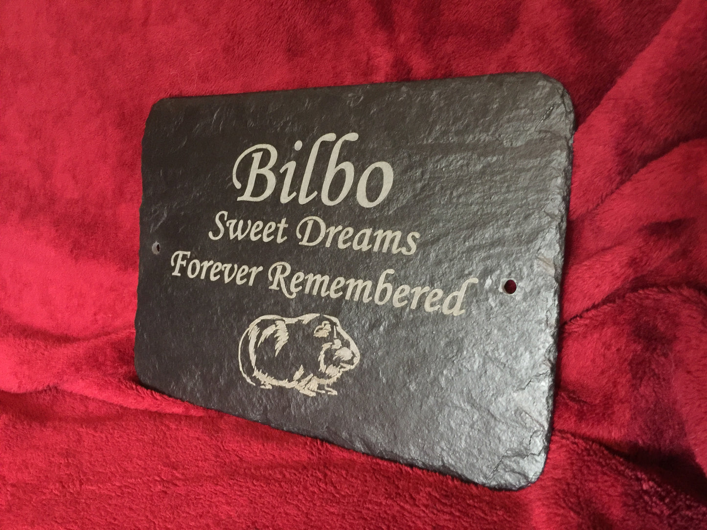 Memorial plaque for Guinea Pig