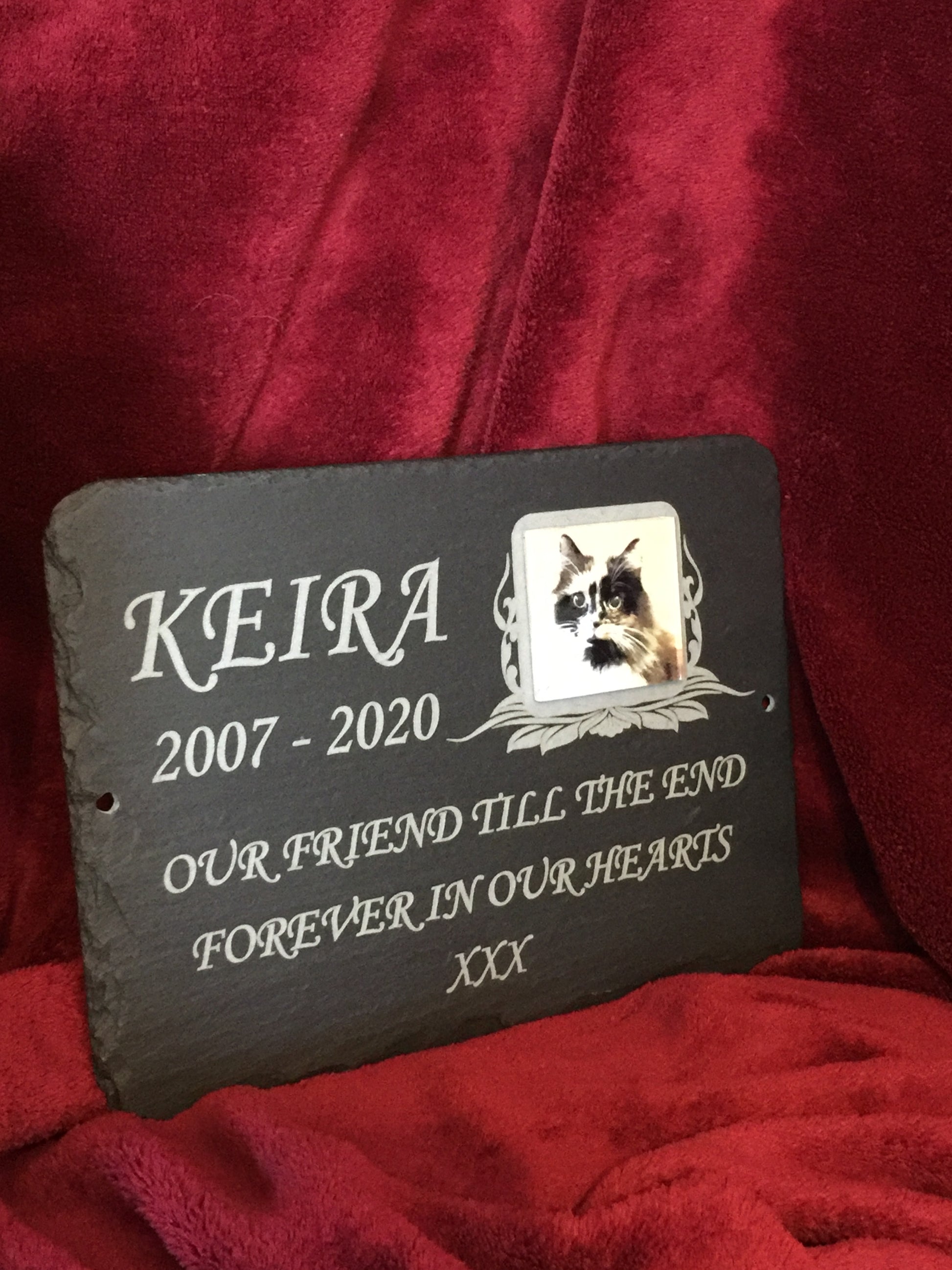 Cat Memorial Photo Plaque in Grave Ornament