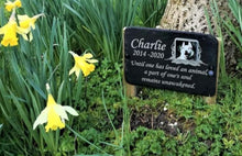 Garden of England Pet Memorials Pet Slate Pet Photo Memorial Grave Marker Plaque with Double Oak Stakes 