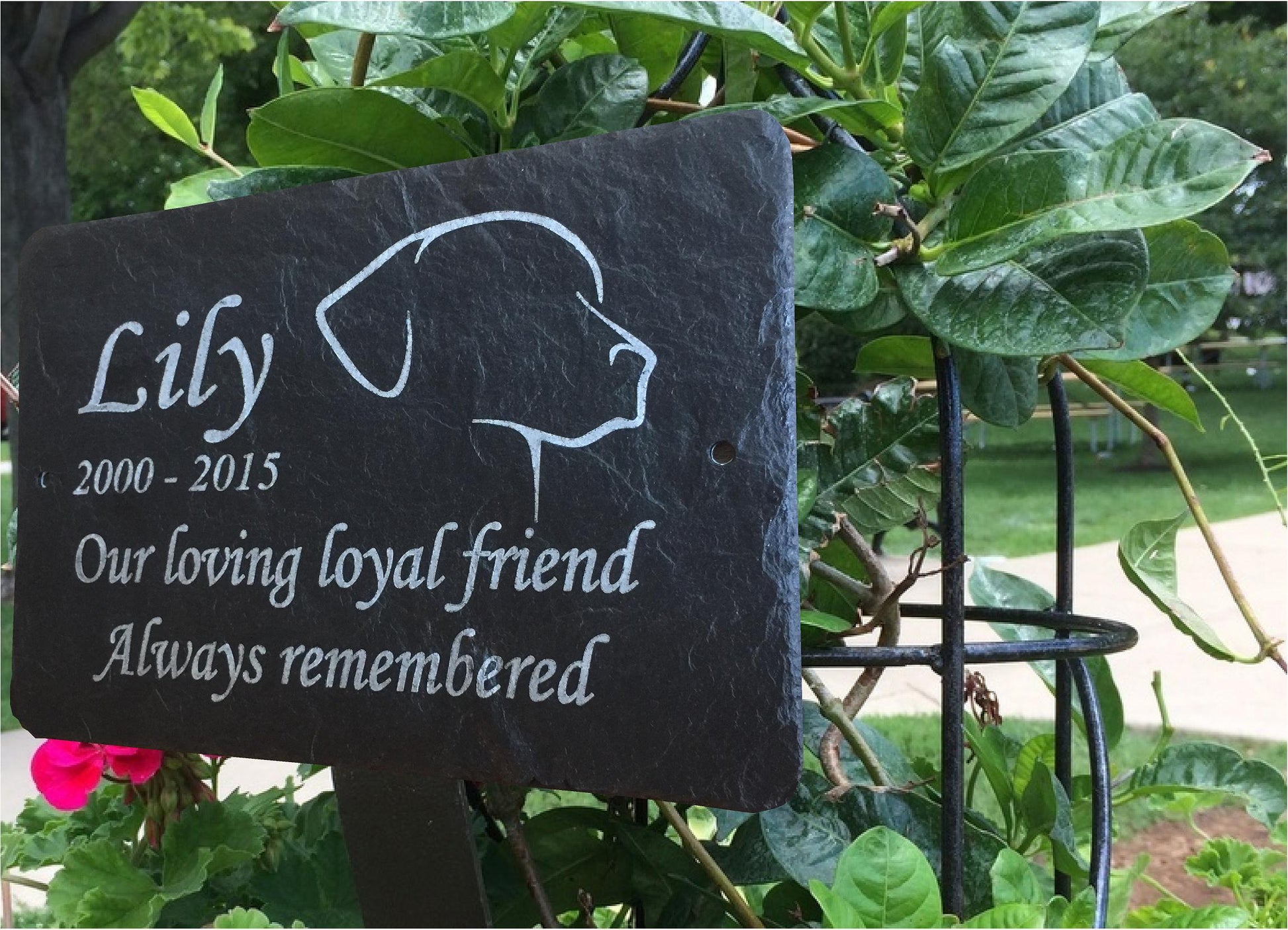 Various sizes ~ Pet memorial Grave Marker - Hand Made to Order
