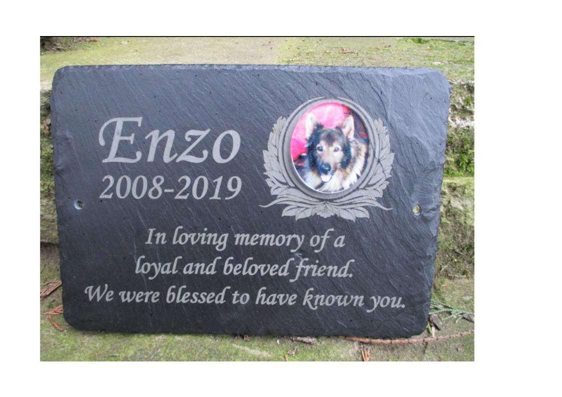 German shepherd dog memorial with photo