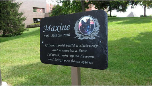 Pet Photo Grave Marker with Oak Stake Option